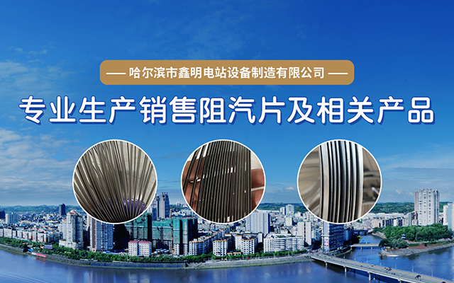 汽轮机阻汽片