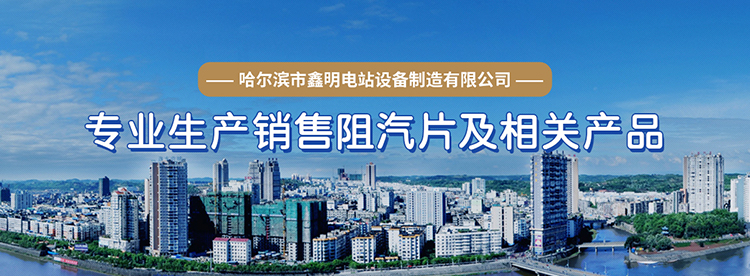 汽封片厂家